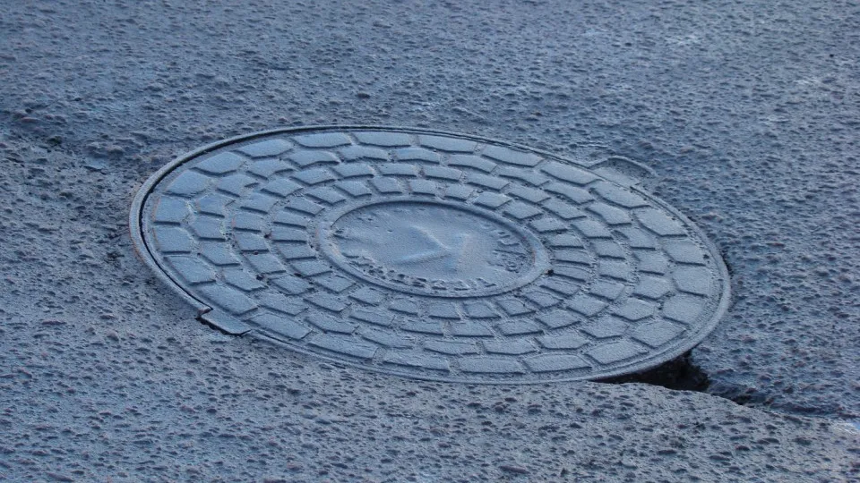 Фото: pxhere.com