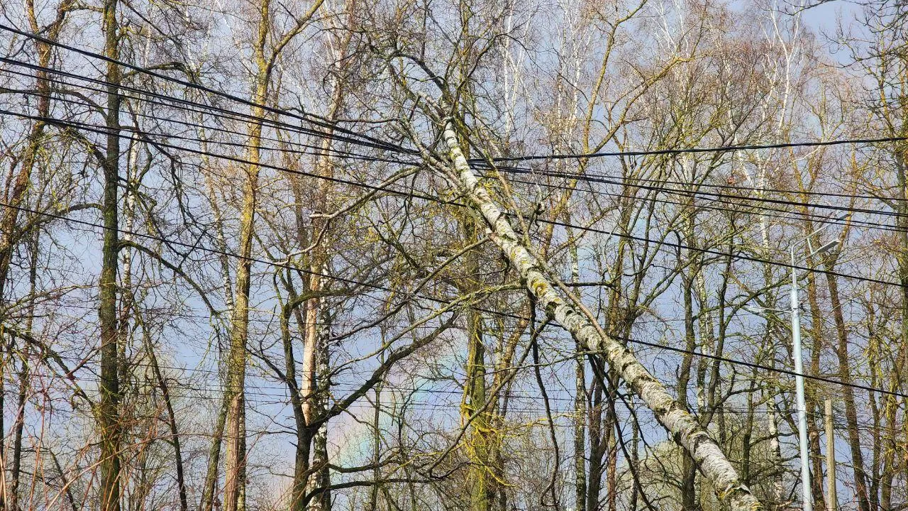 Фото: Яна Шаливская