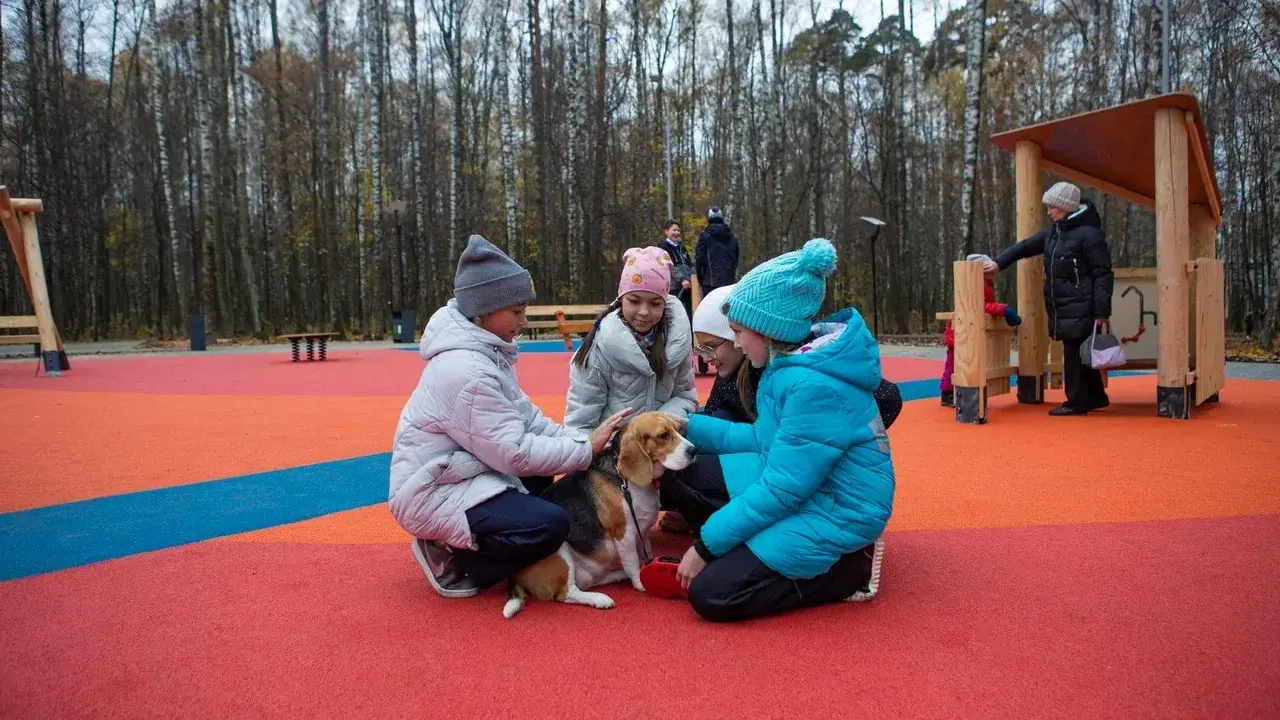 Министерство благоустройства Московской области