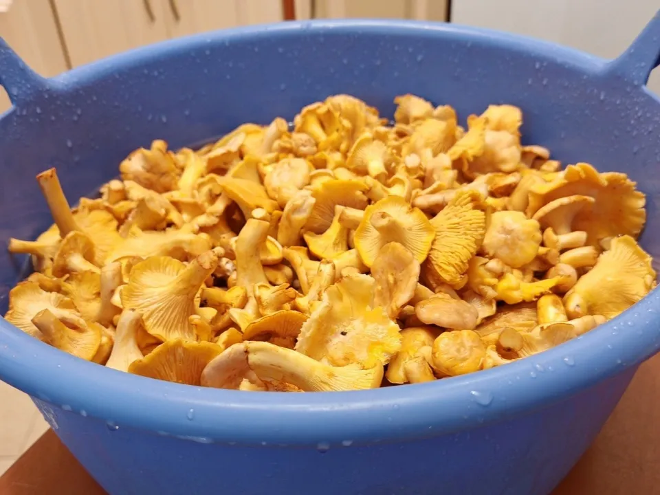 Фото: Константин Кошелев