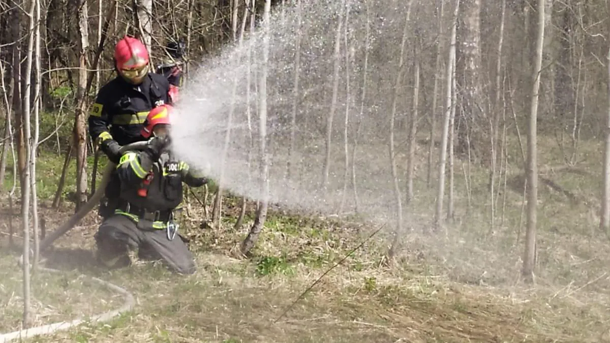Фото: ГКУ МО «Мособлпожспас»