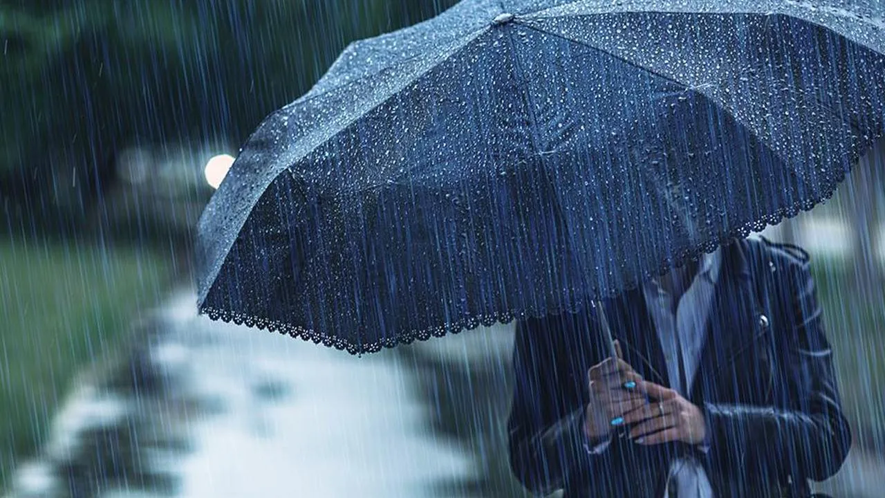 istockphoto.com