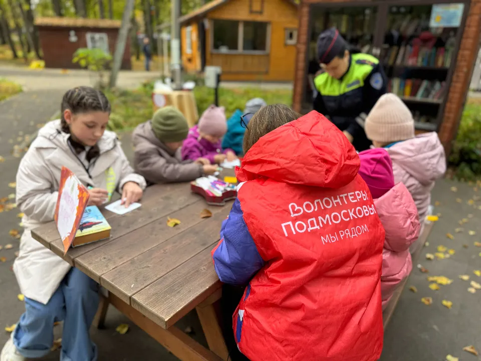 Фото: Отдел Госавтоинспекции ОМВД «Лотошинский»