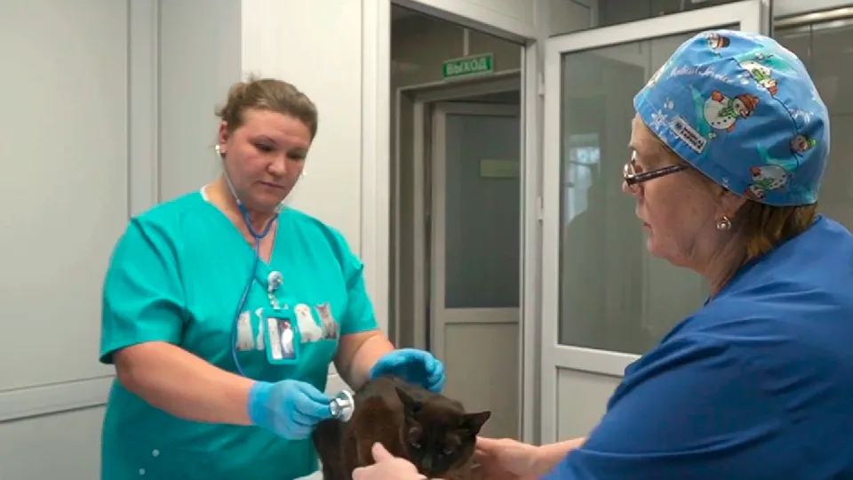 Фото: пресс-служба администрации г.о. Королев