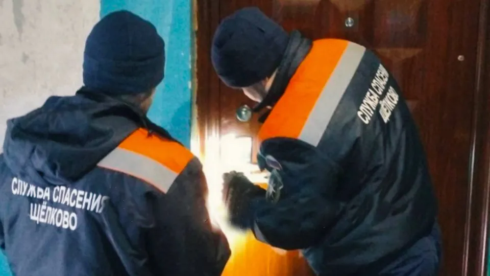 Фото: Центр гражданской защиты г.о. Щелково