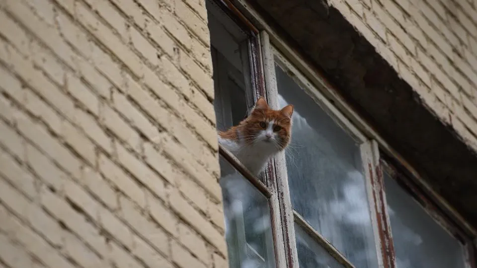 Тематическое изображение. Фото: медиасток.рф