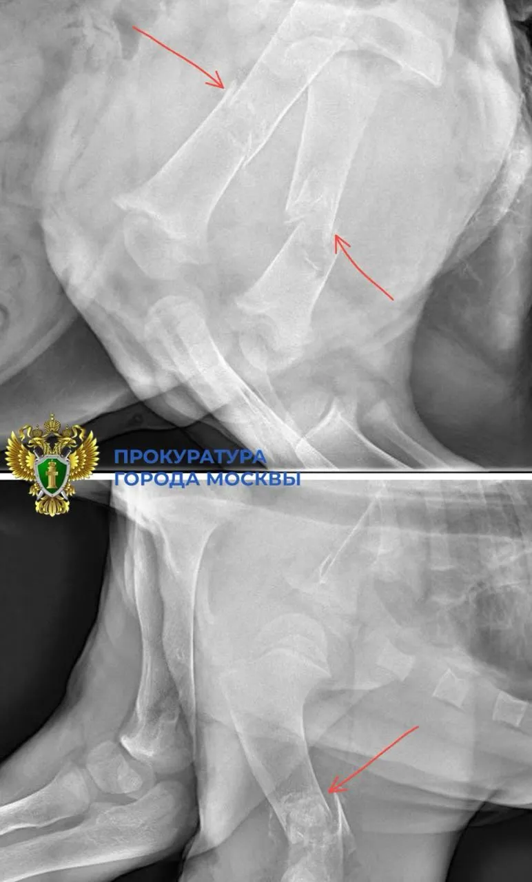 Прокуратура Москвы