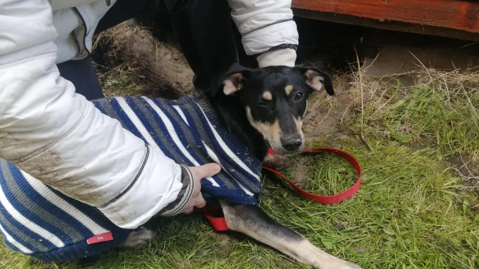 Фото: ГКУ МО «Мособлпожспас»