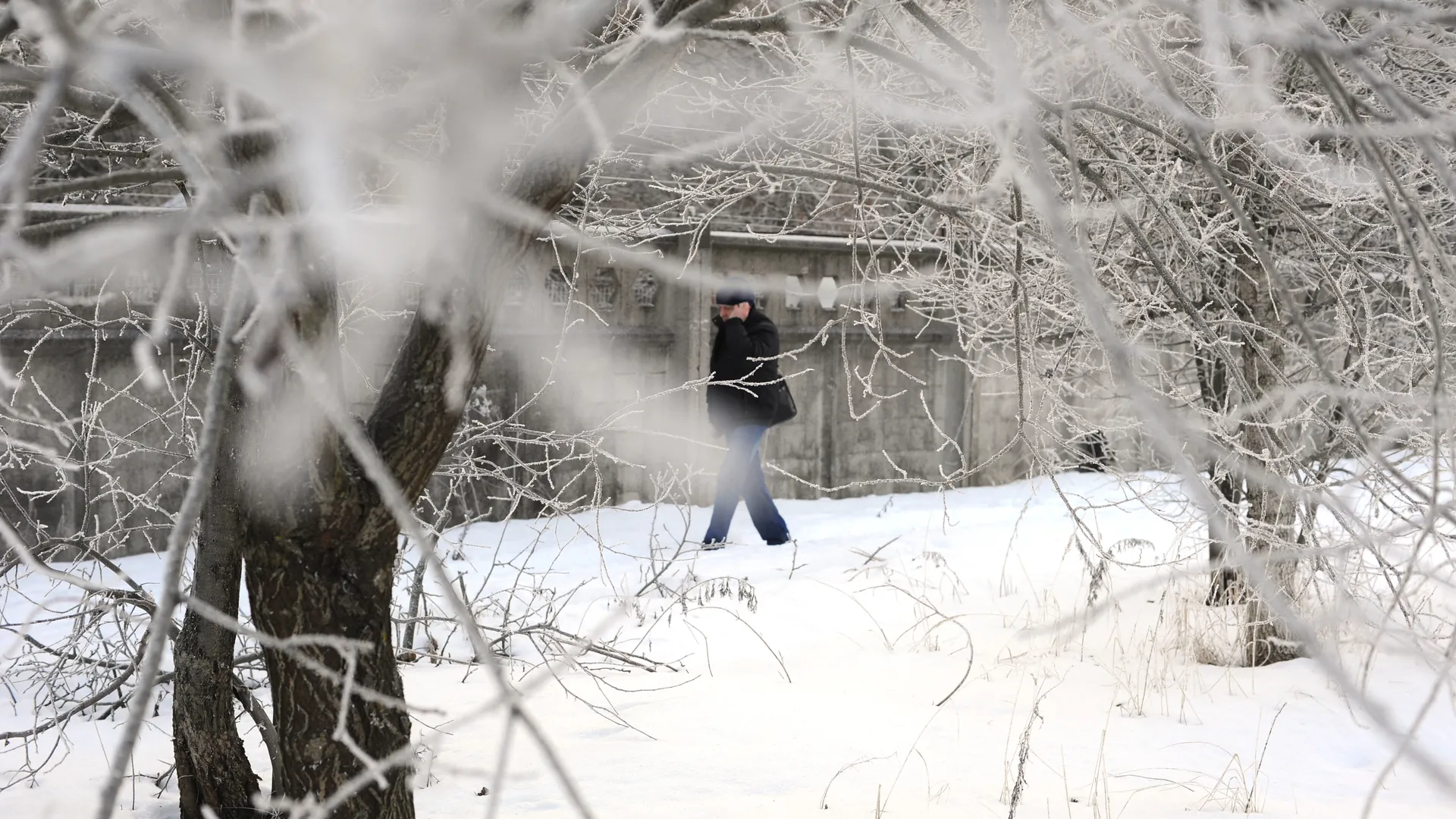 Купить Дом В Старой Коломне Московской Области