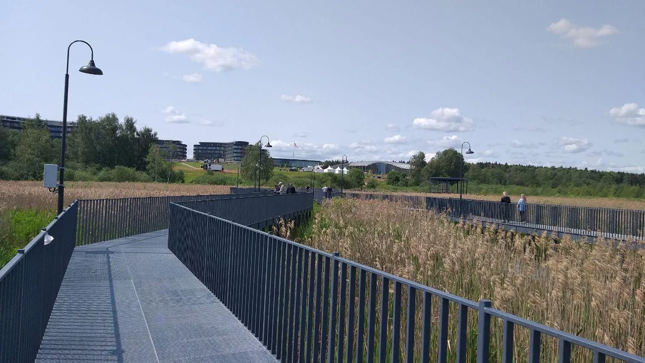 Еще один этап благоустройства на озере Сенеж завершился в Солнечногорске