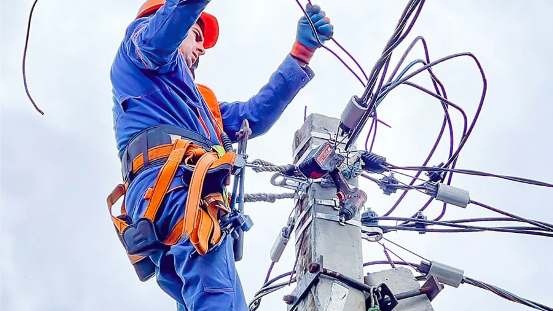 Фото: МедиаБанк Подмосковья/Данила Кирьянов