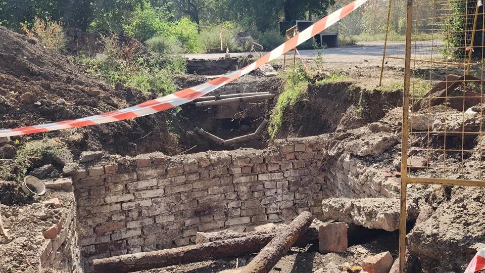 Фото: Хавива Фонина