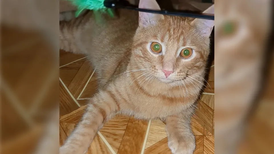 Фото: Ольга Кучерова