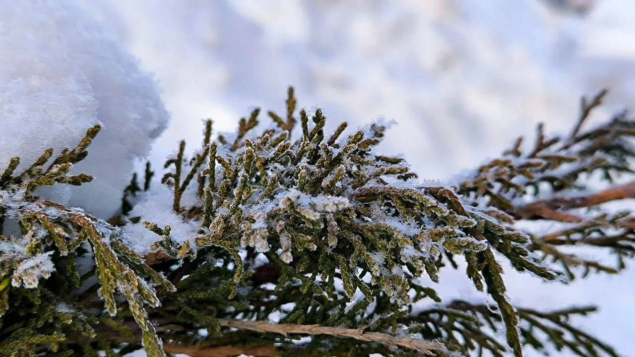 REGIONS/Роман Малышенко