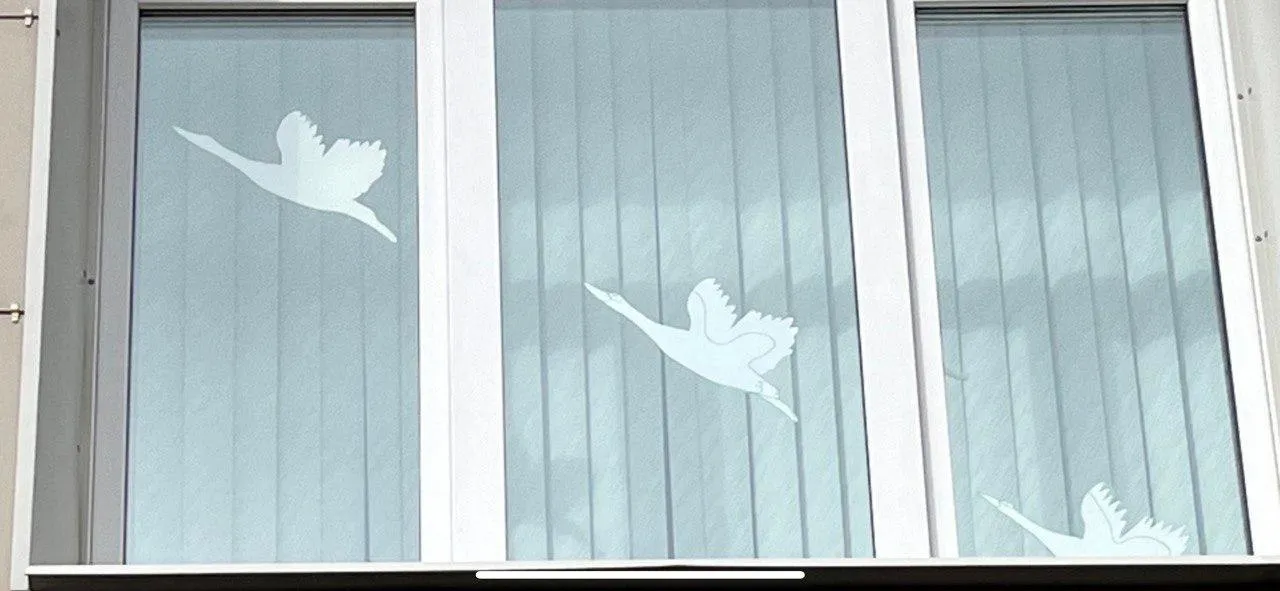 Фото: Школа №3