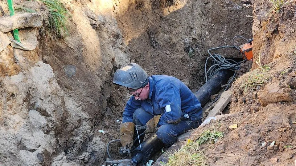 Фото: Хавива Фонина