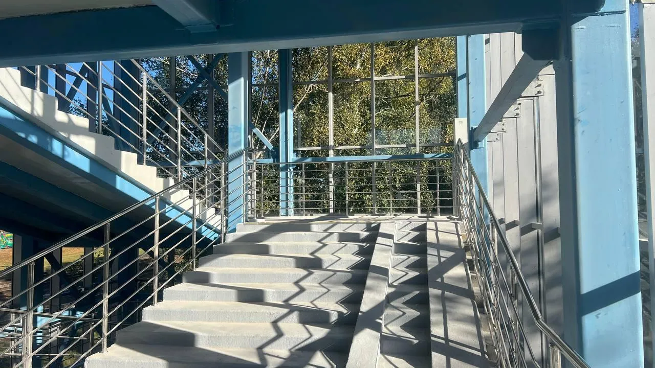 Фото: Минтранс Московской области