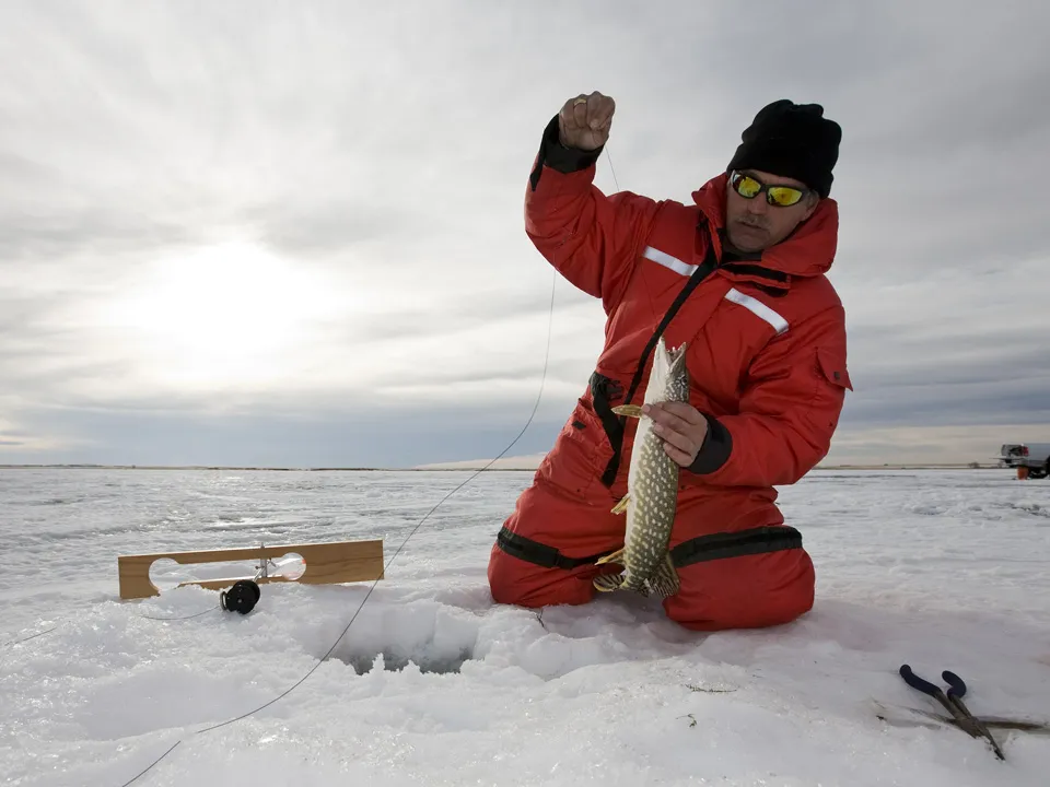 Фото: istockphoto.com/SteveMcsweeny&nbsp;