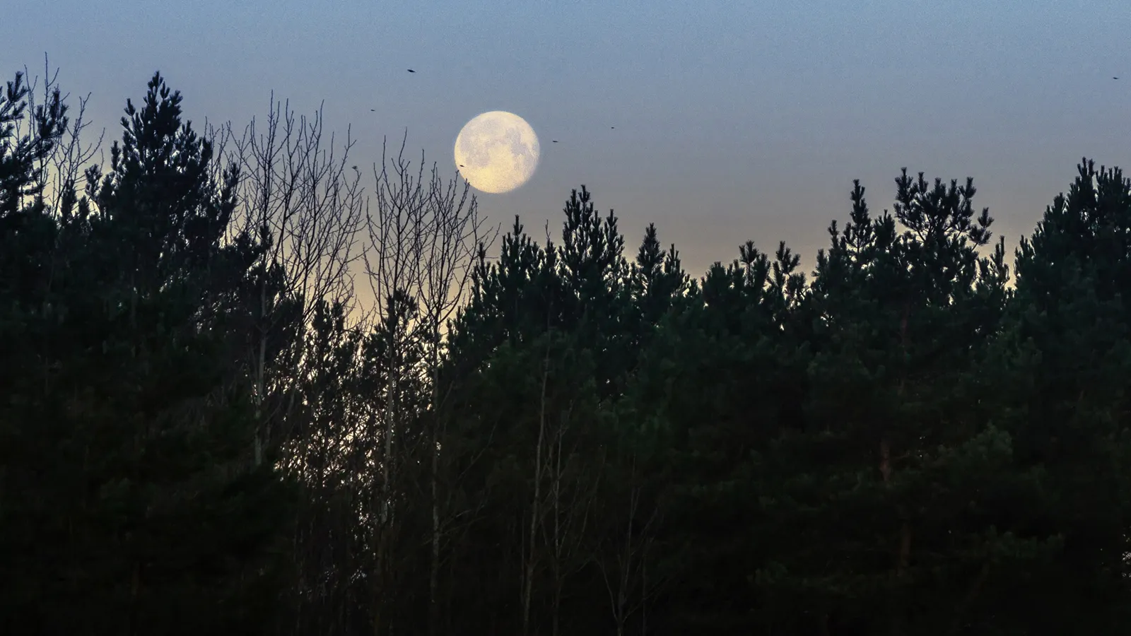 Фото: Антон Кондратюк