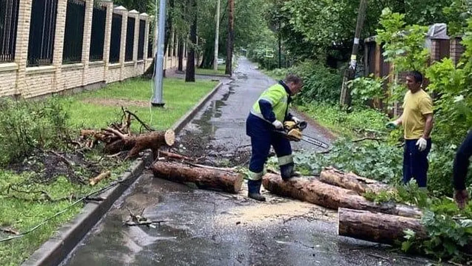 Фото: администрация городского округа Люберцы