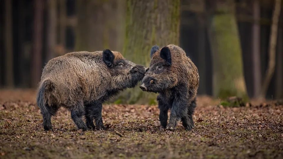 Фото: freepik.com