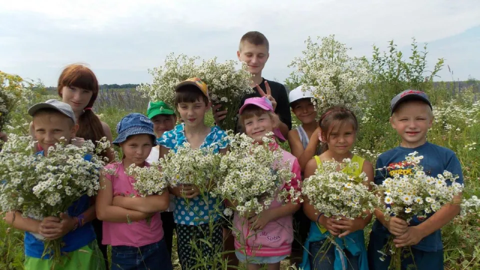 Фото: Министерство социального развития Московской области