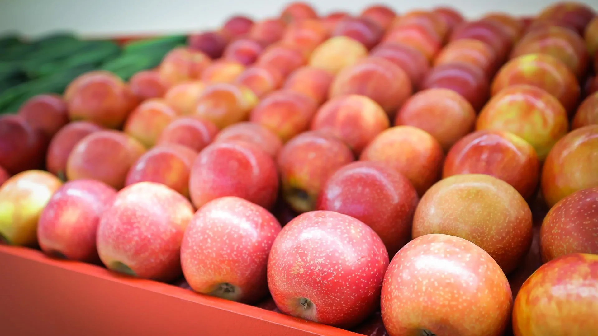 Фото: пресс-служба Министерства сельского хозяйства и продовольствия МО