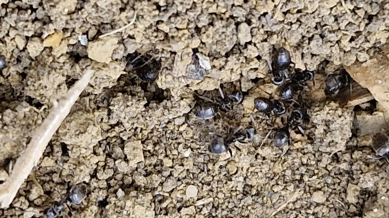 Фото: REGIONS/Наталия Надточая