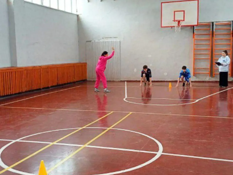 Фото: ГБПОУ МО «Павлово-Посадский техникум»&nbsp;