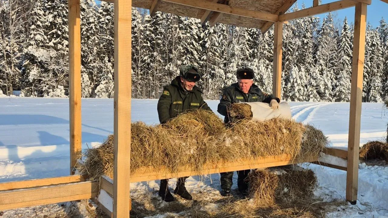 Наро-Фоминский филиал ГКУ МО «Мособллес»