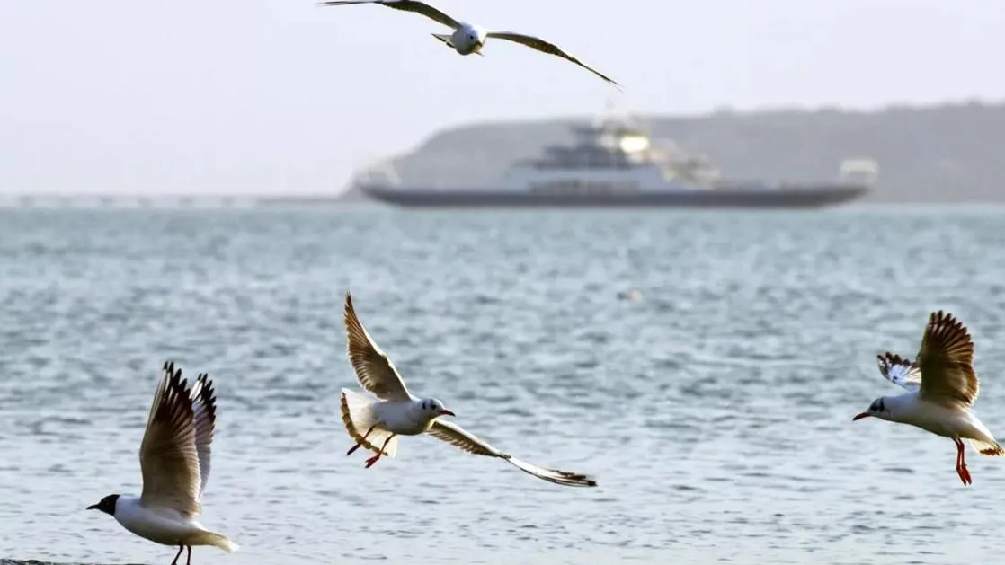 Минобороны РФ запретило проход судов в акватории Керченского пролива