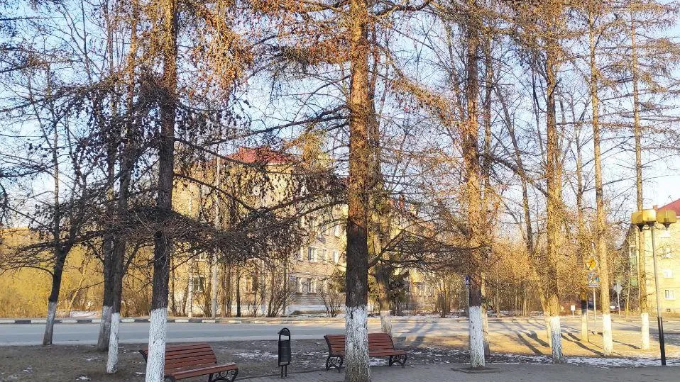 Пресс-служба администрации городского округа Дубна