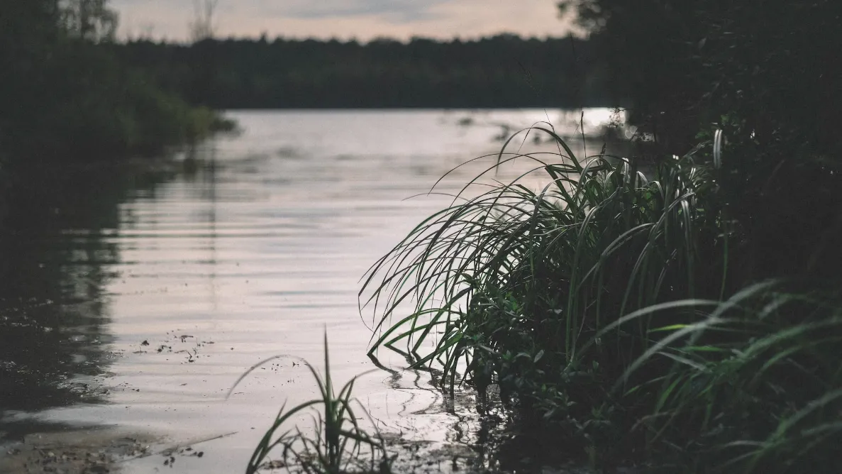 Фото: unsplash.com