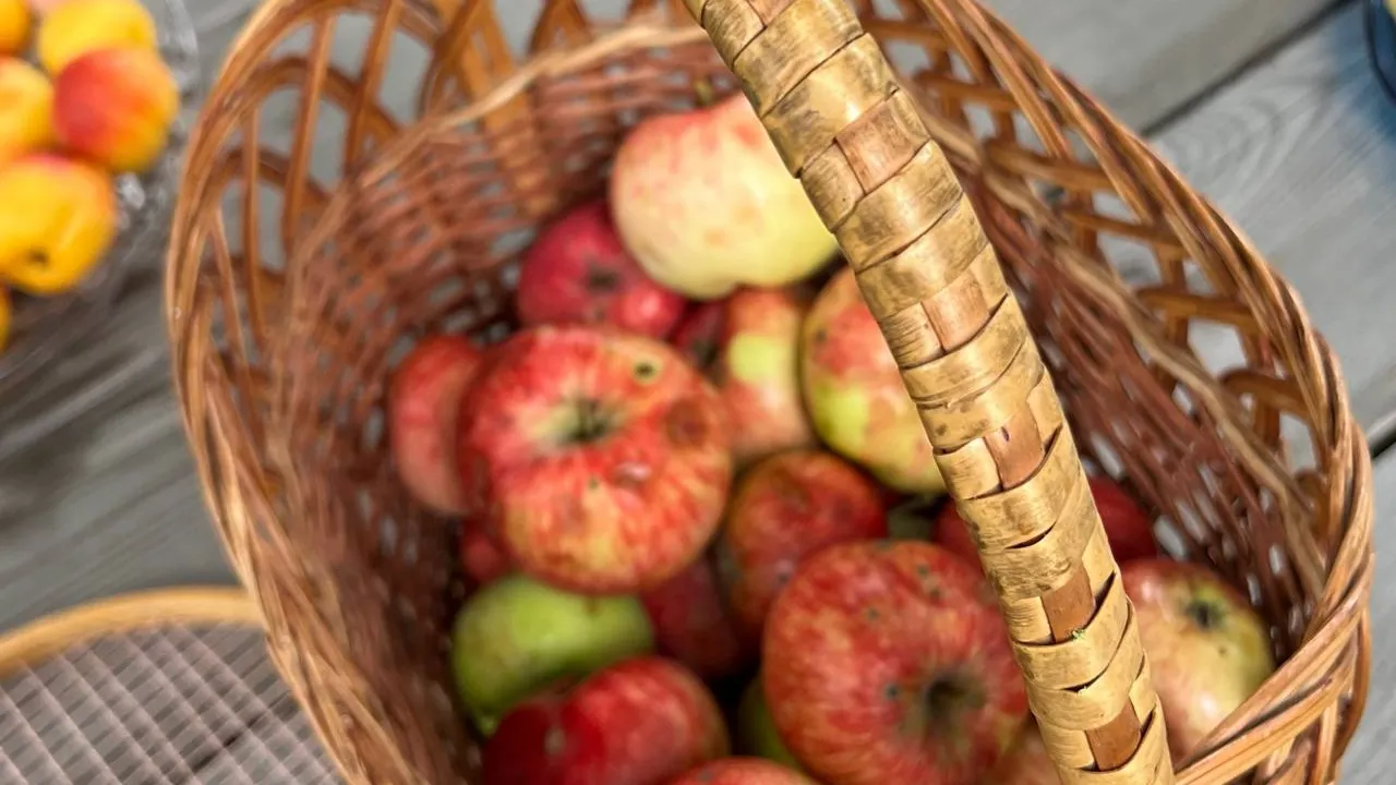 Фото: REGIONS/Татьяна Кордюкова