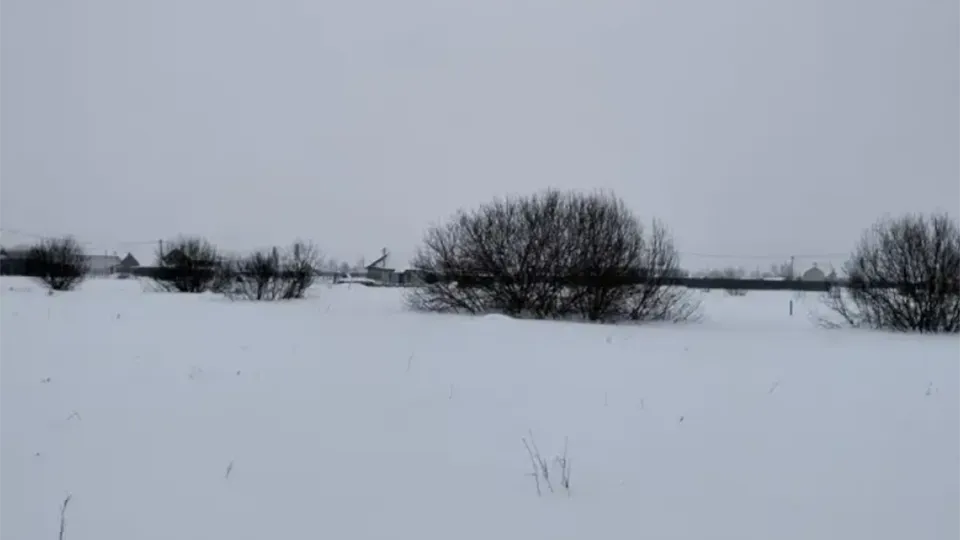 Фото: Единый портал торгов Московской области ЕАСУЗ