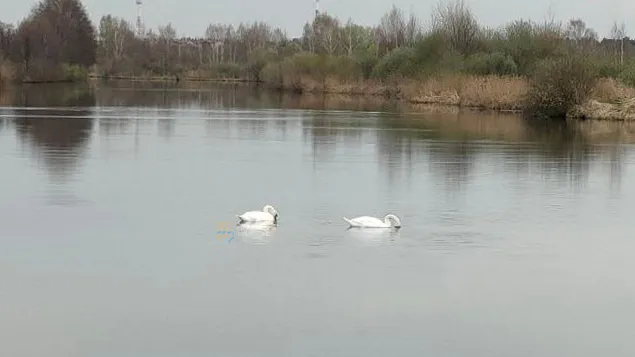 Фото: t.me/schelk_city