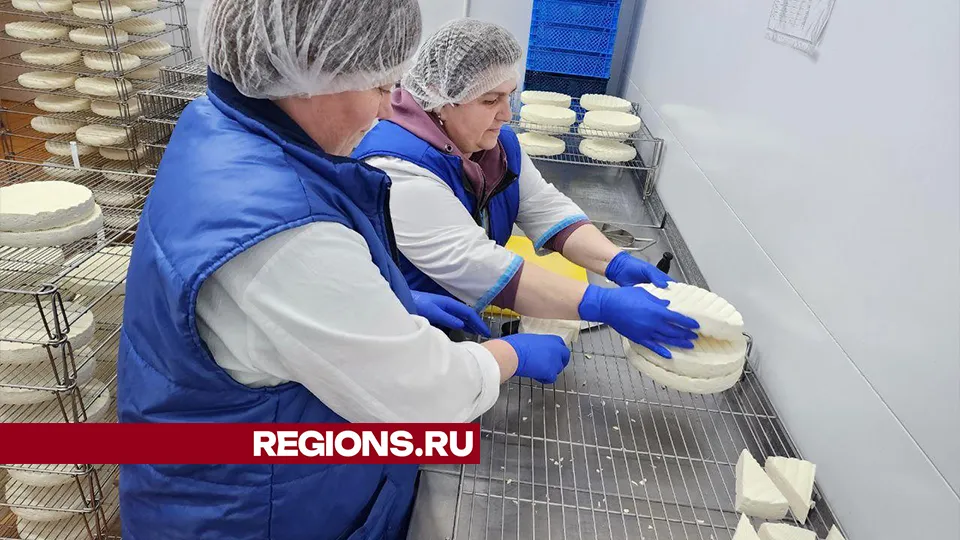 Фото: Елена Лабзина