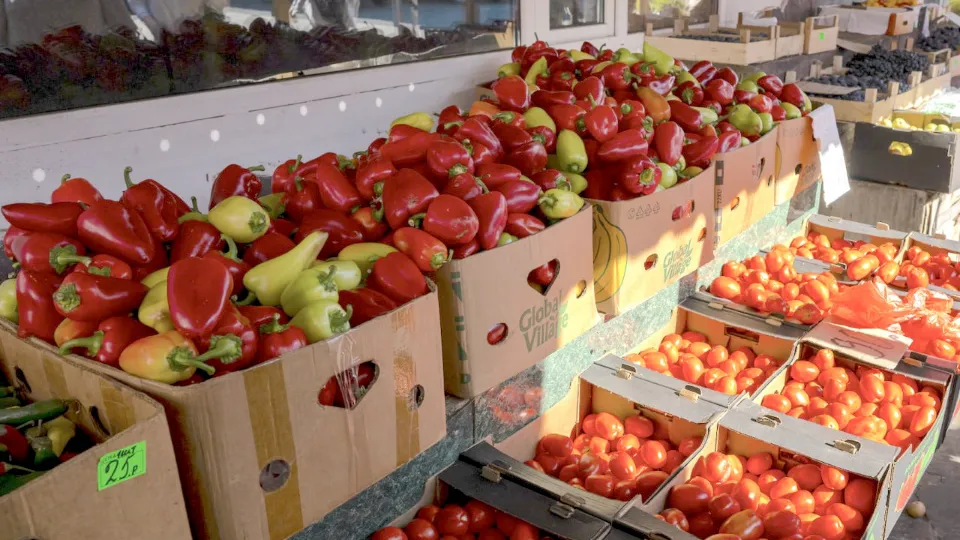 Фото: Министерство сельского хозяйства и продовольствия Московской области