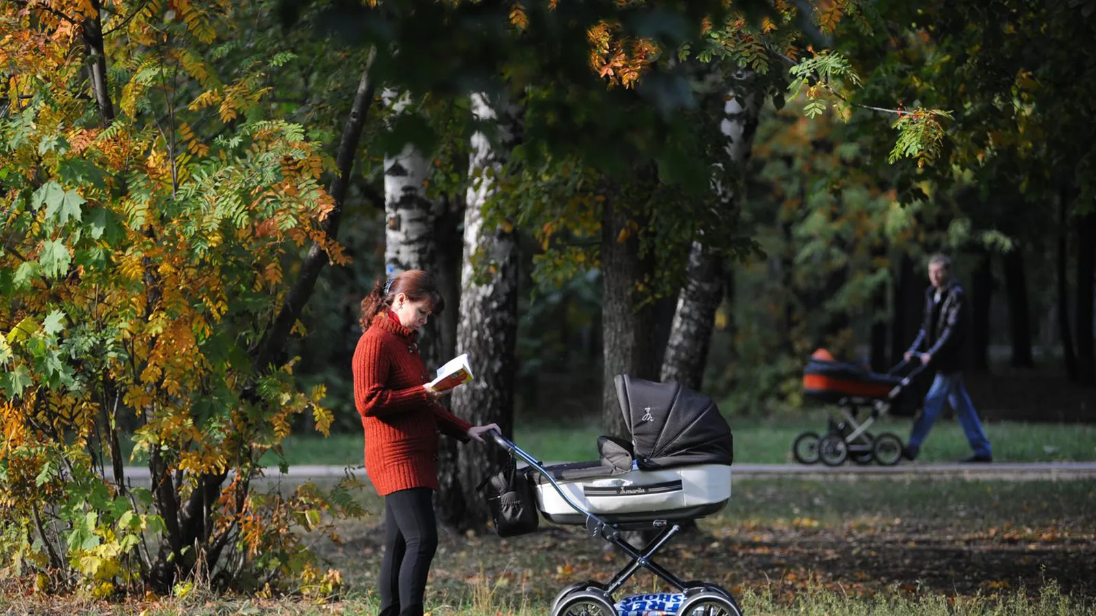 Фото: медиасток.рф