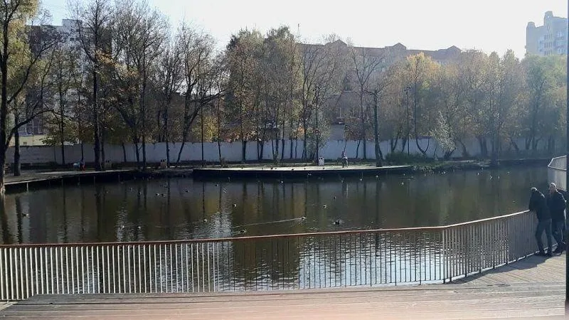 Отдыхающие спасли тонущего мальчика в Раменском
