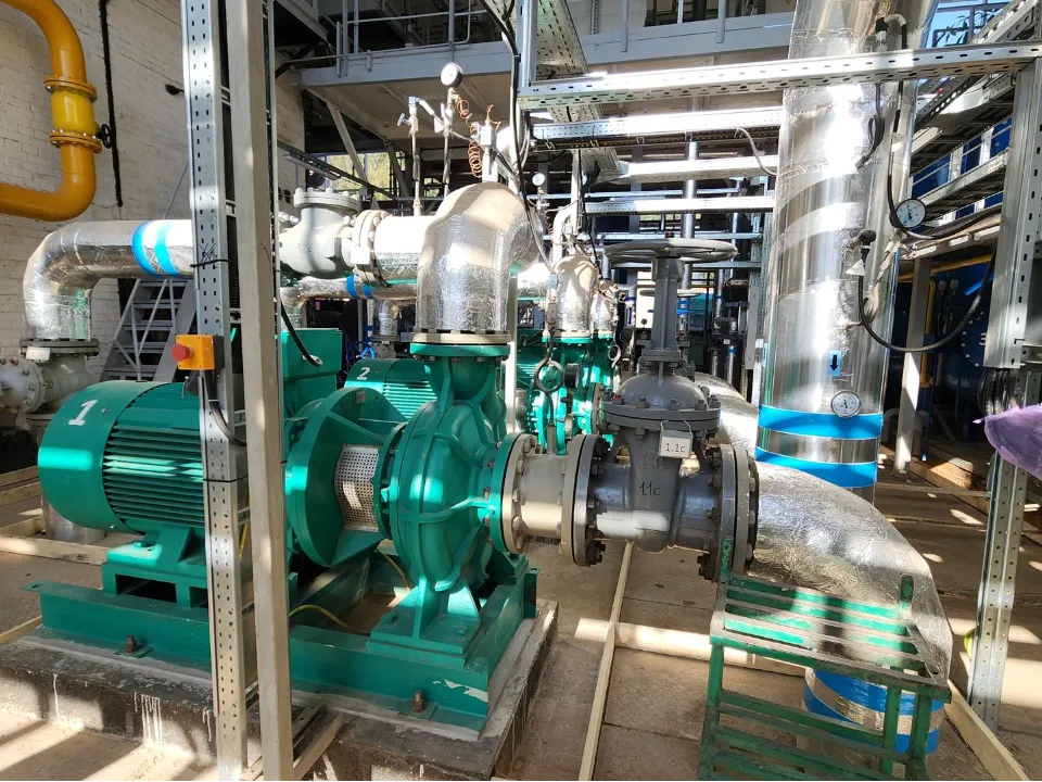 Фото: REGIONS/Артем Мишуков