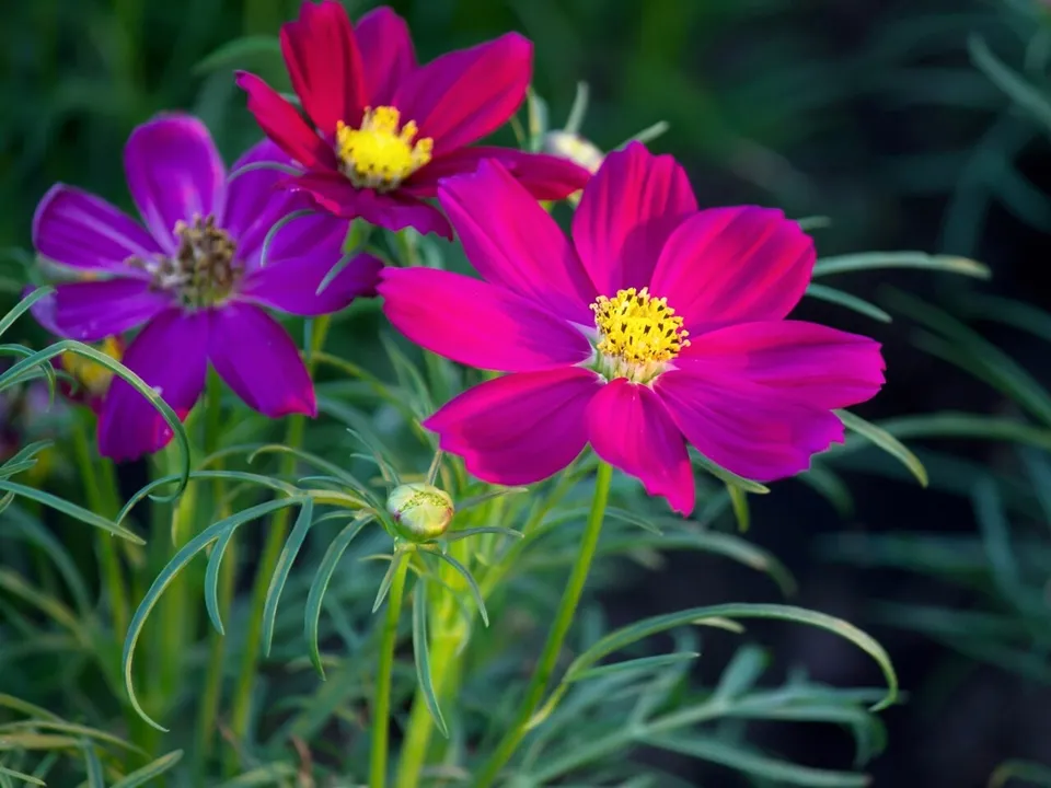 Фото: freepik.com