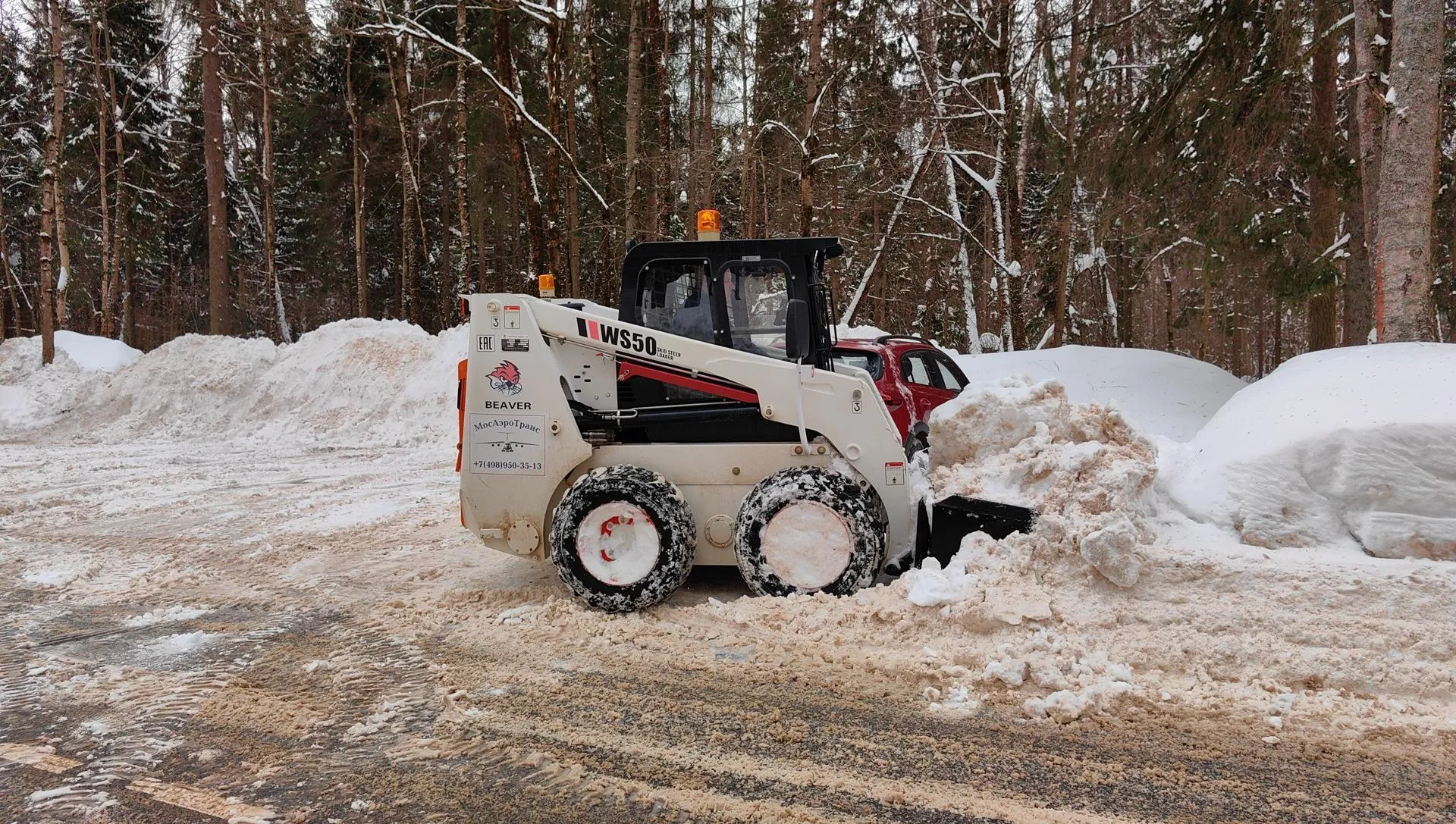Елена Катасонова