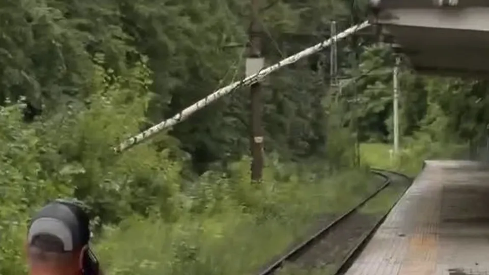 Фото: t.me/electrichki