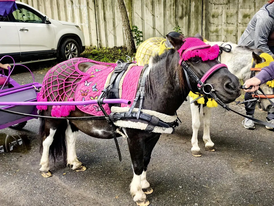 Фото: REGIONS/Елена Катасонова