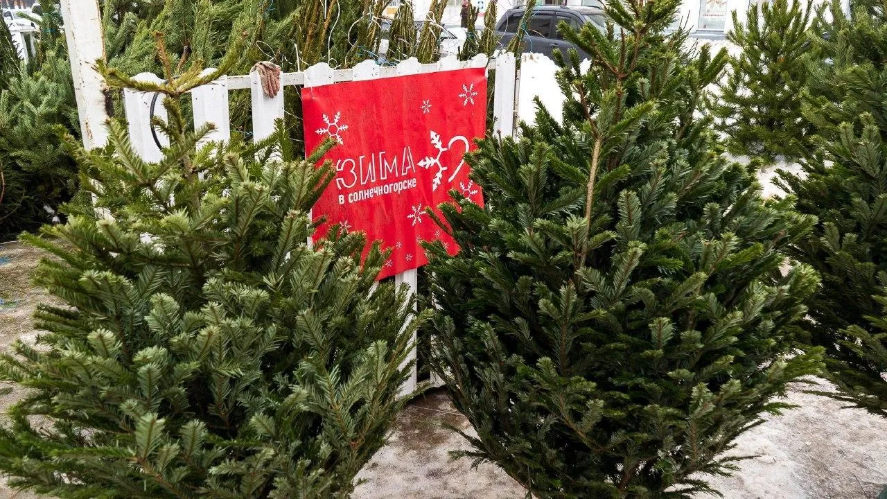 фото: пресс-служба администрации городского округа Солнечногорск