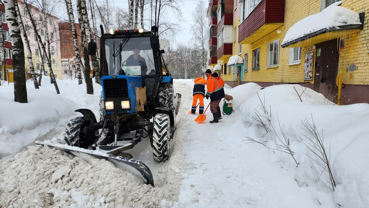 МедиаБанк Подмосковья/Ирина Моисеева