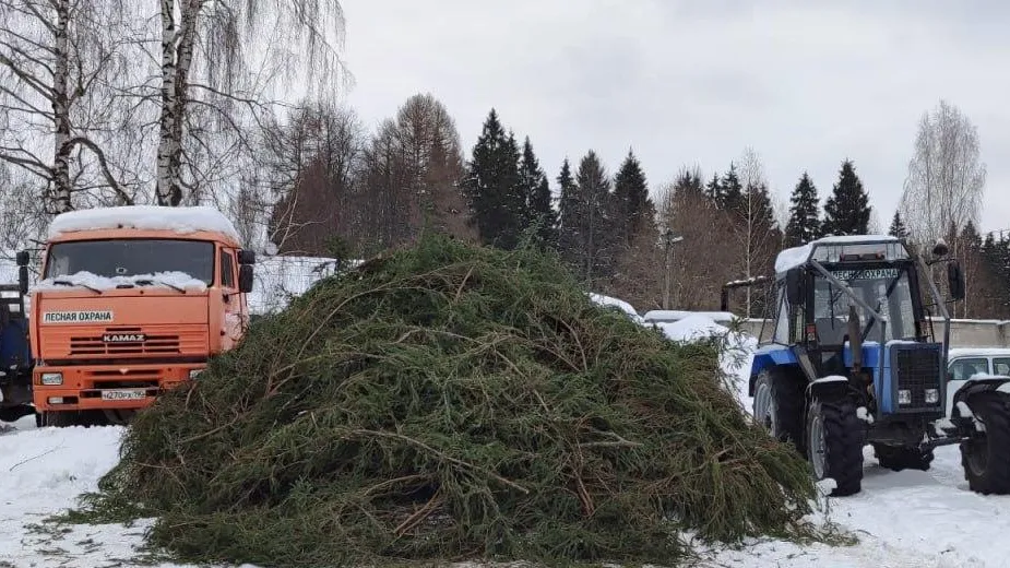 Комитет лесного хозяйства МО