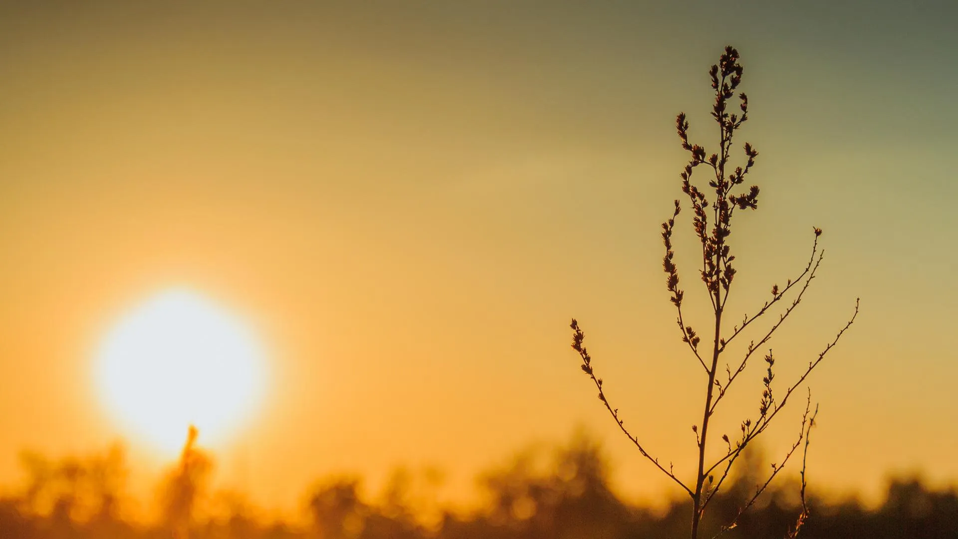 Фото: pxhere.com