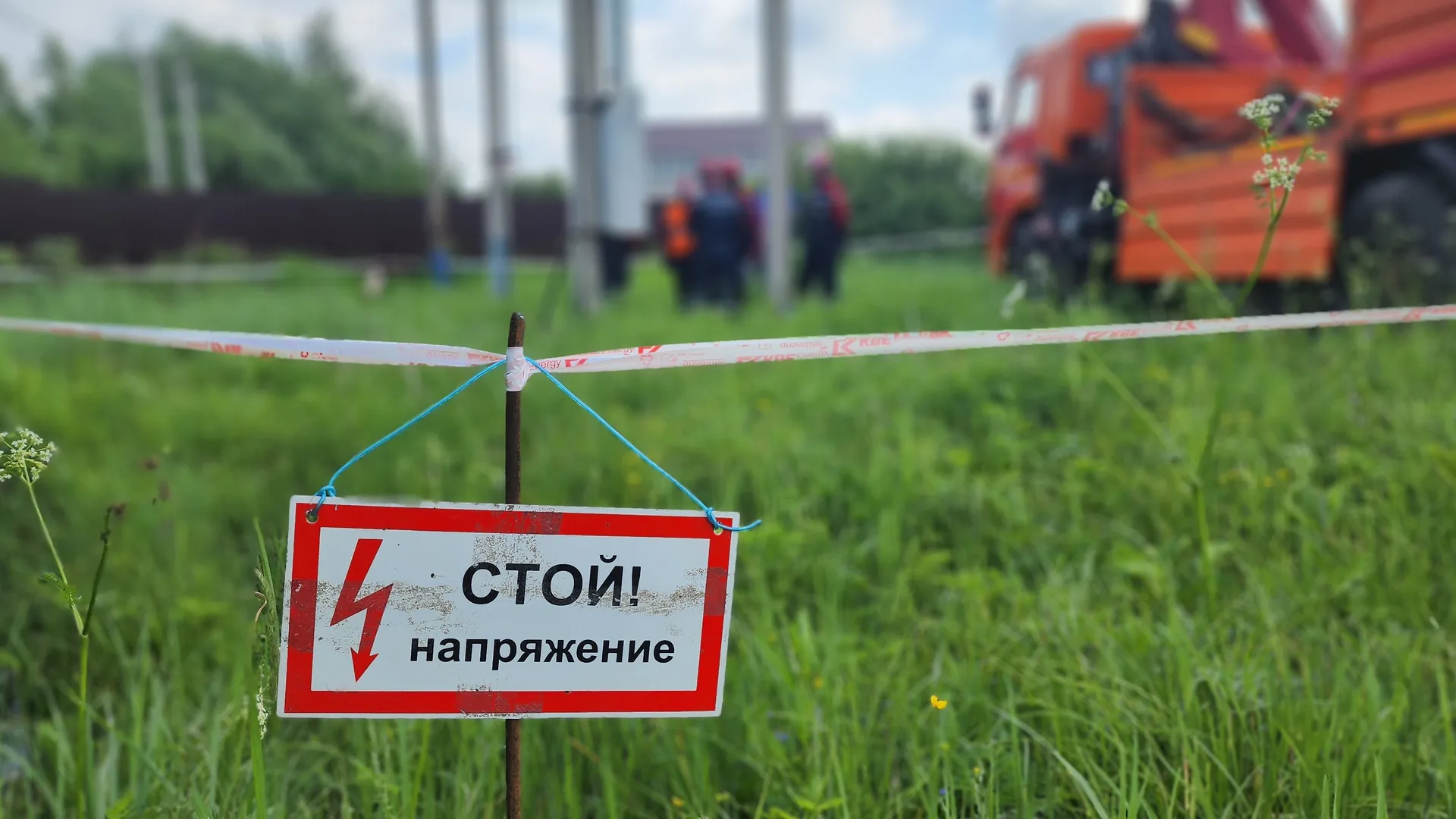 Фото: Светлана Плотникова